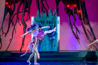 Nutcracker Blue Cast