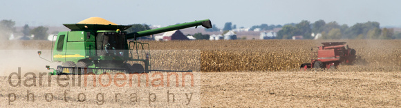 Soybean Harvest